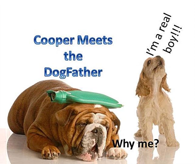 COOPER MEETS THE DOG FATHER