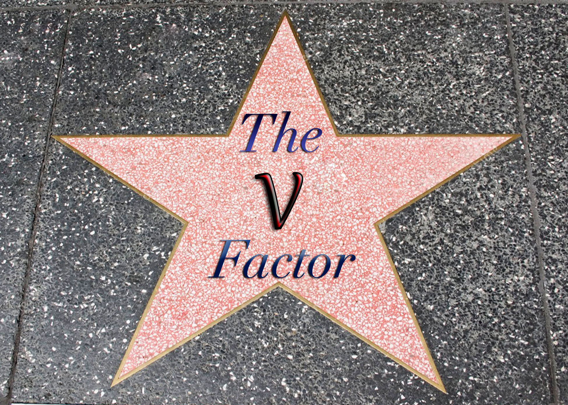 THE V FACTOR