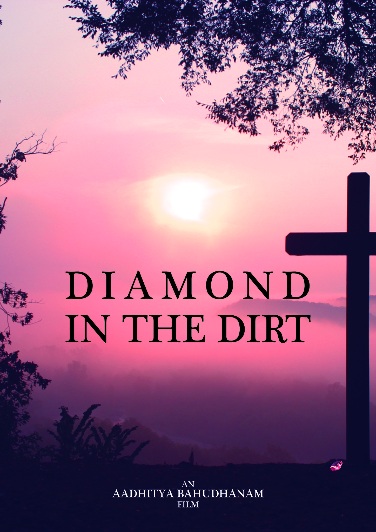 DIAMOND IN THE DIRT