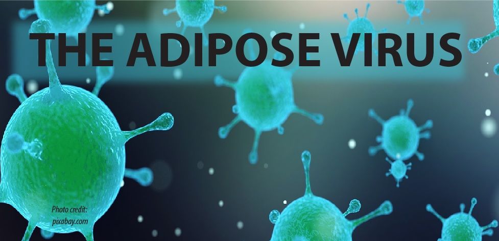 THE ADIPOSE VIRUS