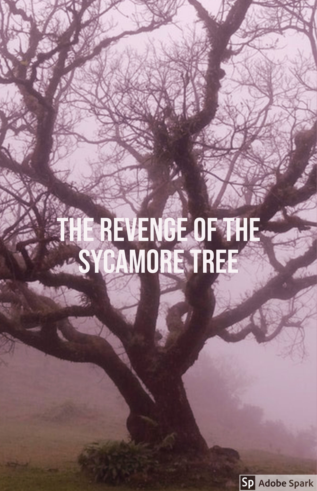 THE REVENGE OF THE SYCAMORE TREE