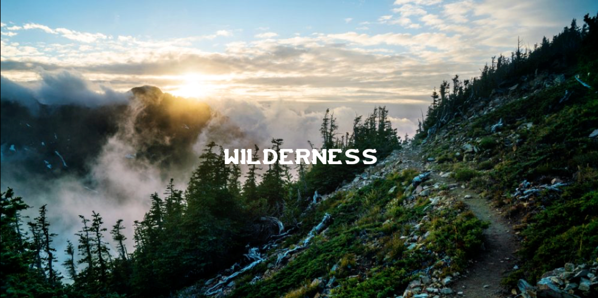 WILDERNESS