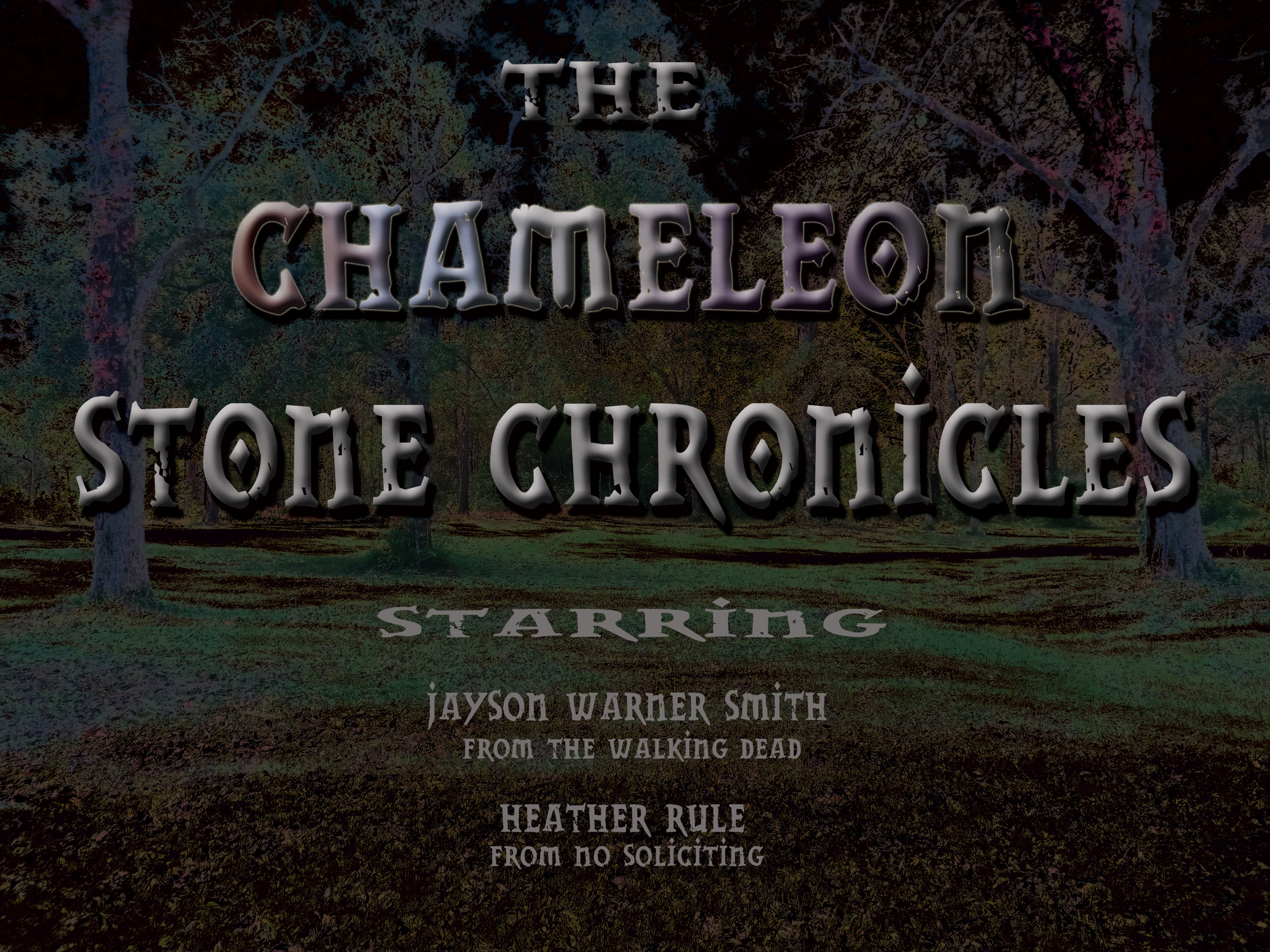 THE CHAMELEON STONE CHRONICLES 