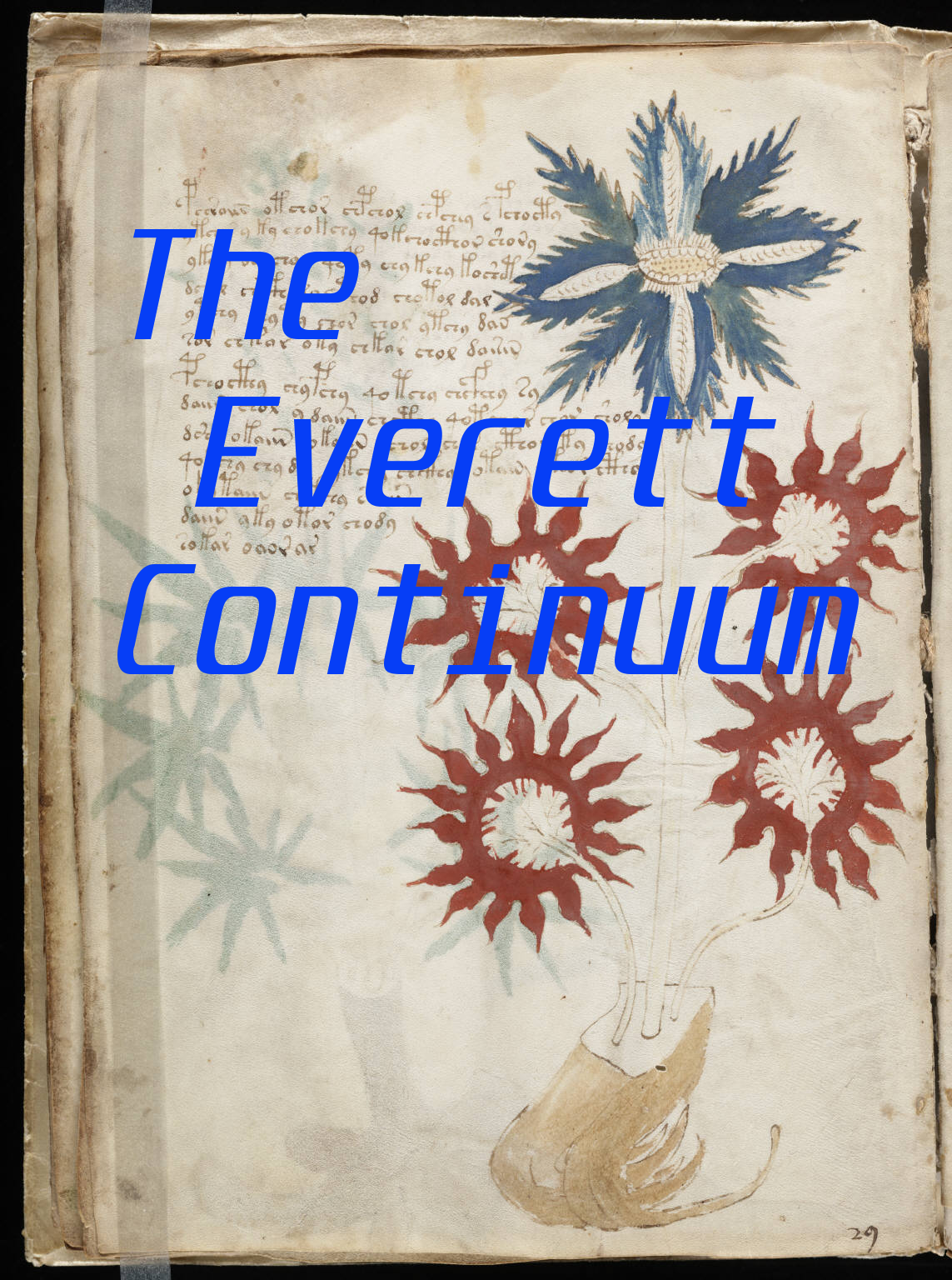 THE EVERETT CONTINUUM