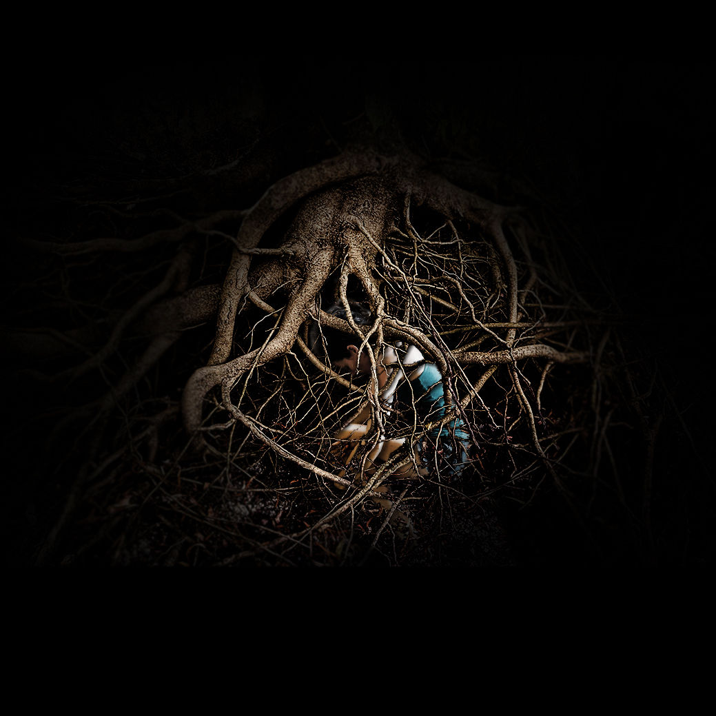 THE FALLEN