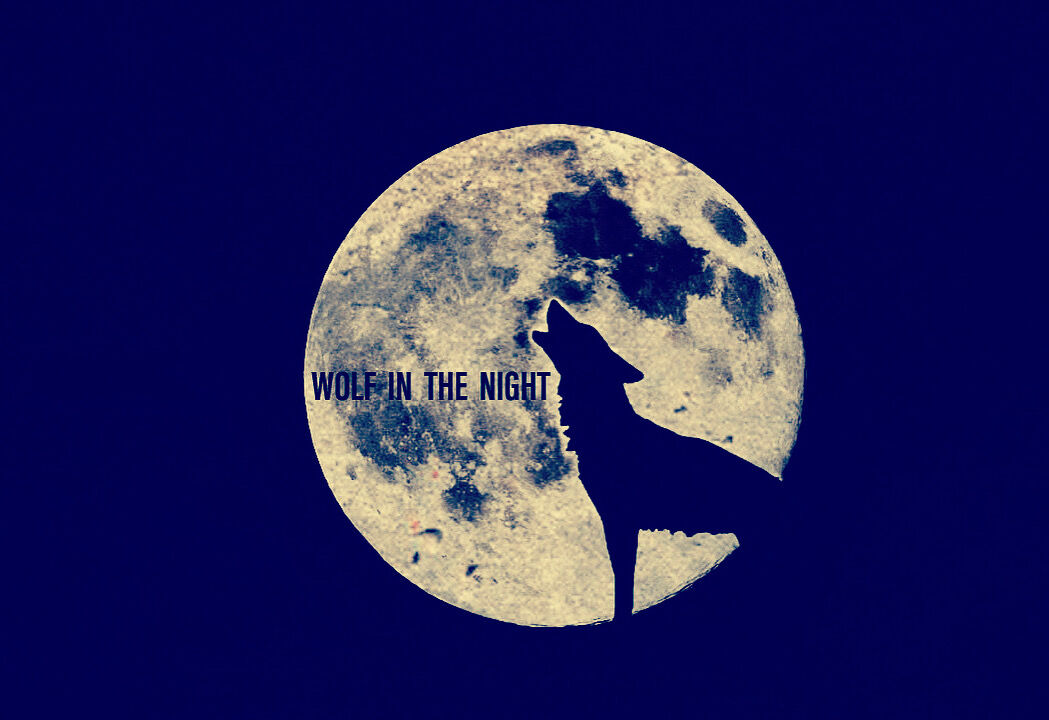 WOLF IN THE NIGHT