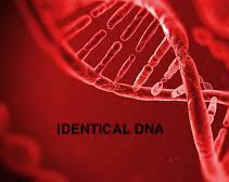 IDENTICAL DNA
