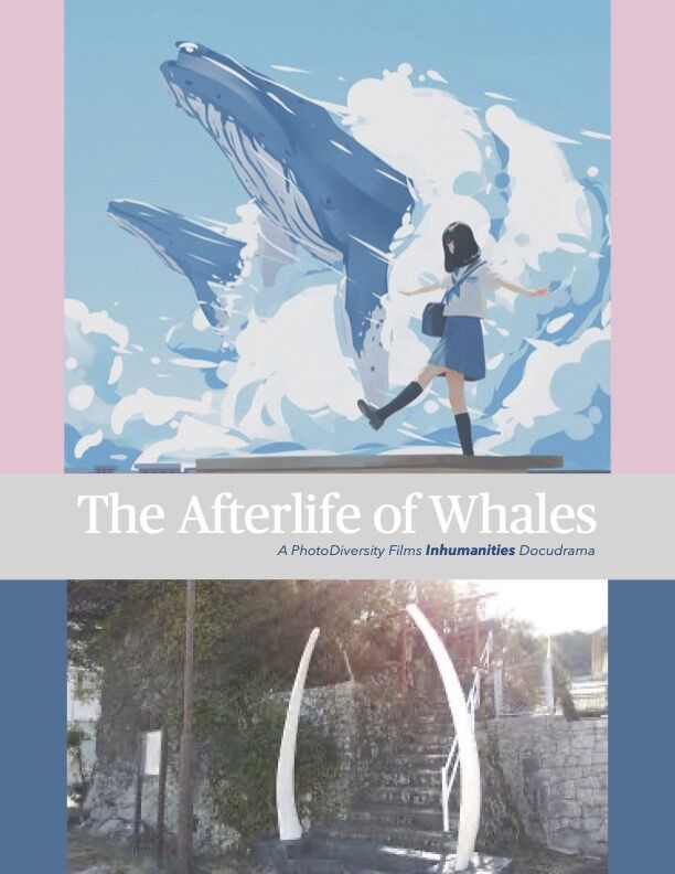 THE AFTERLIFE OF WHALES: AN INHUMANITIES PROJECT