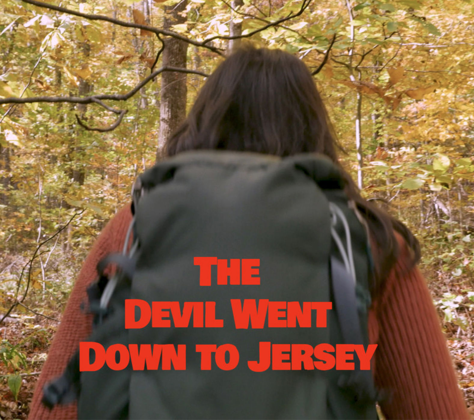 THE DEVIL WENT DOWN TO JERSEY