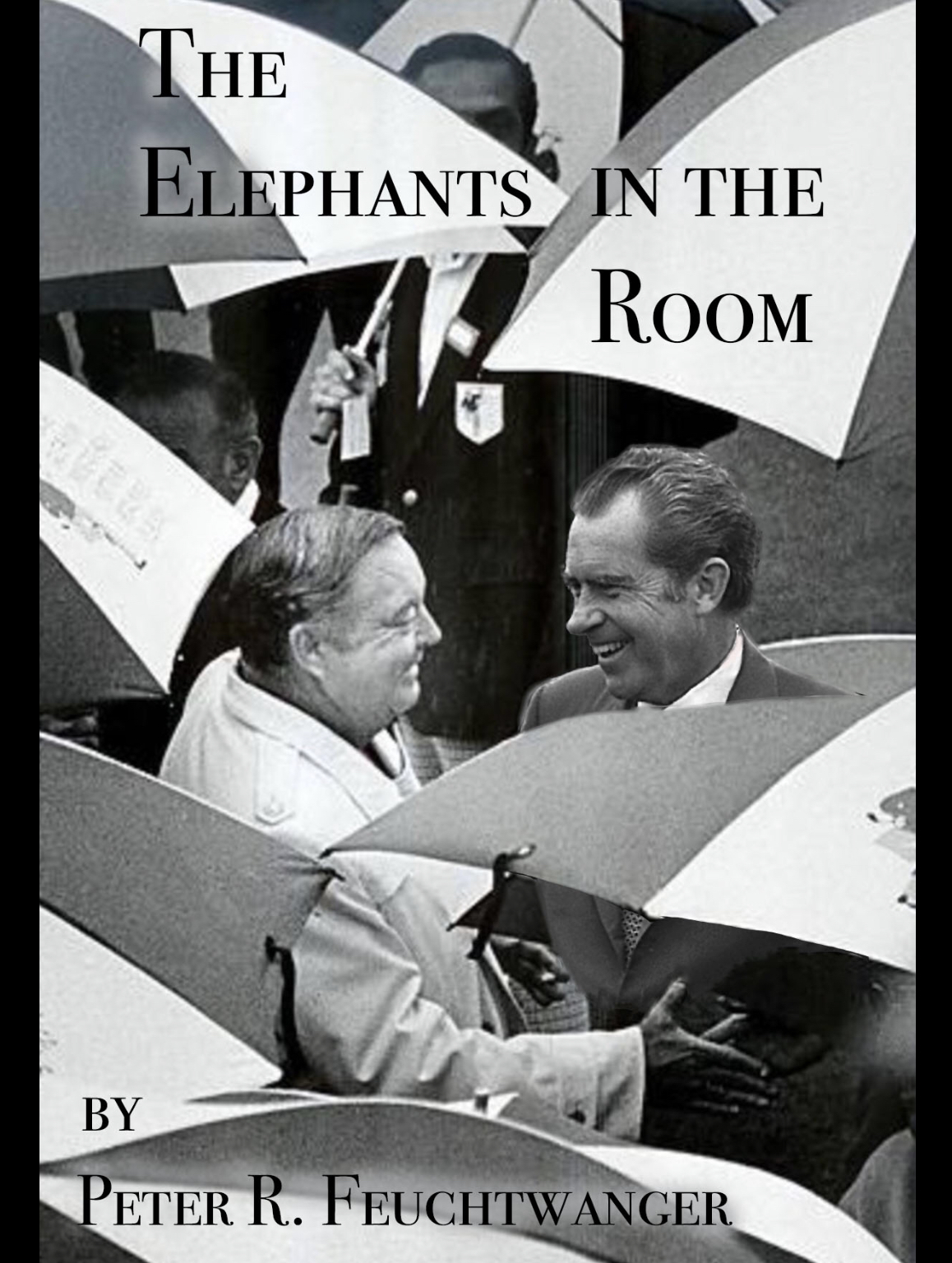THE ELEPHANTS IN THE ROOM