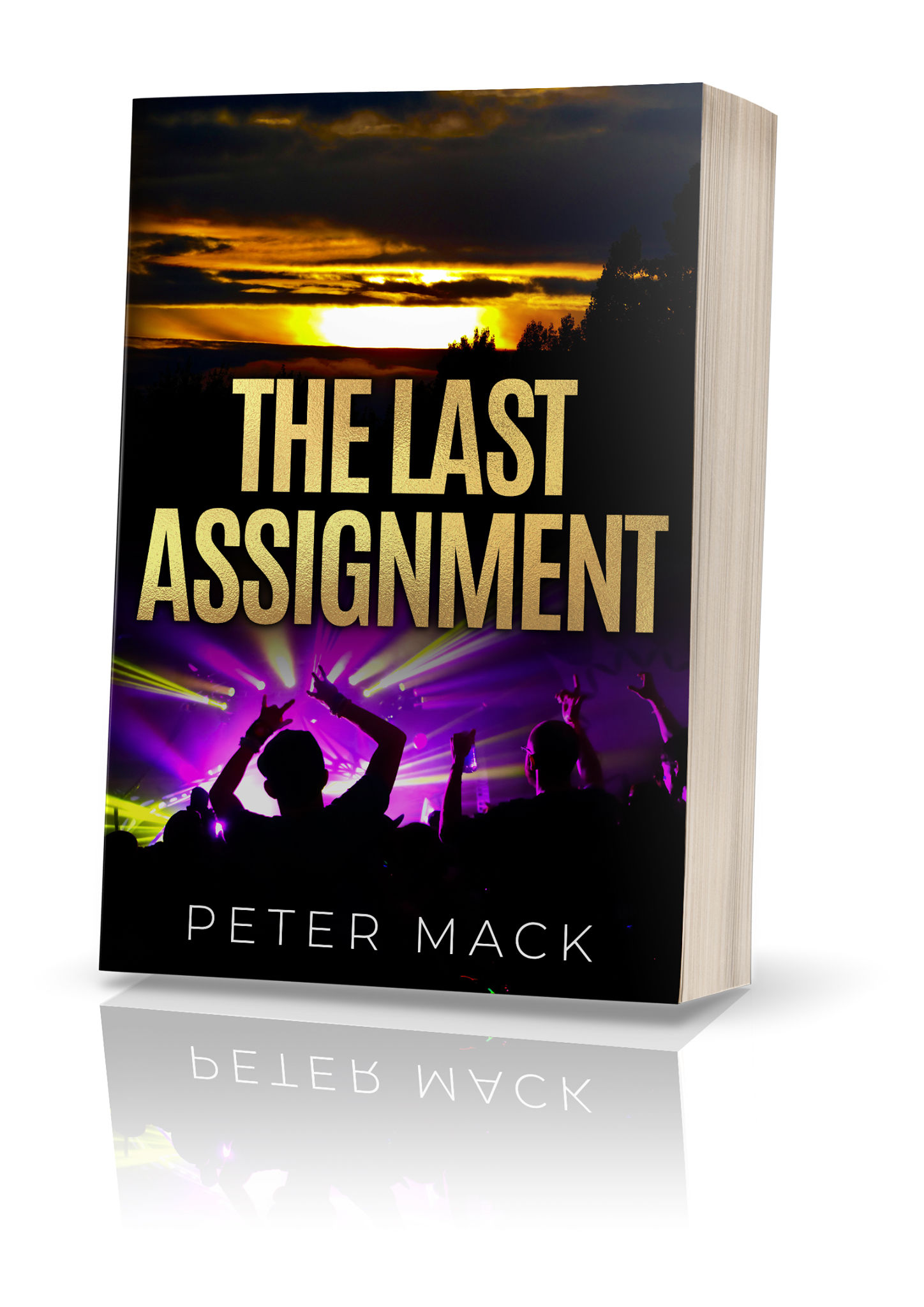 THE LAST ASSIGNMENT