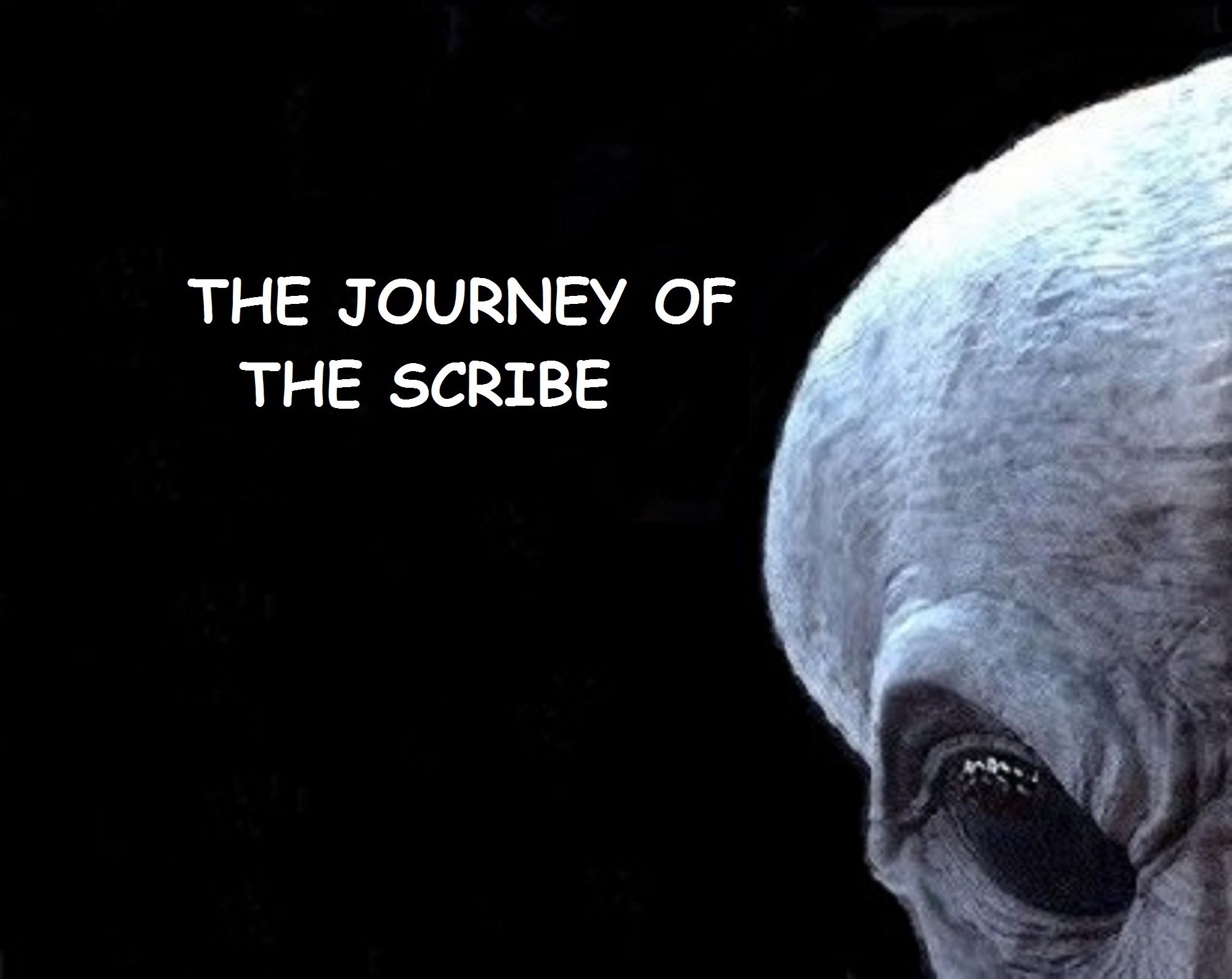 THE JOURNEY OF THE SCRIBE