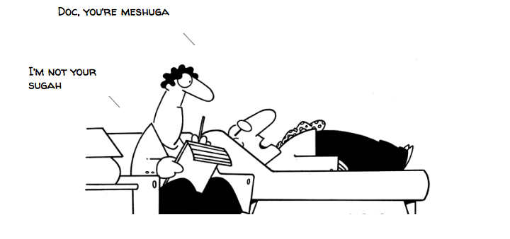 THE MESHUGA METHOD