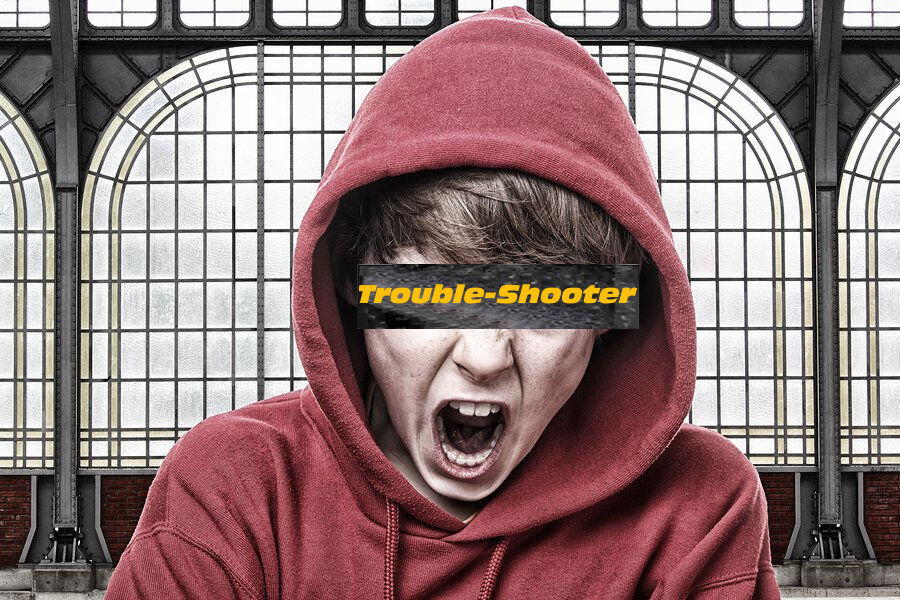 THE TROUBLE-SHOOTER