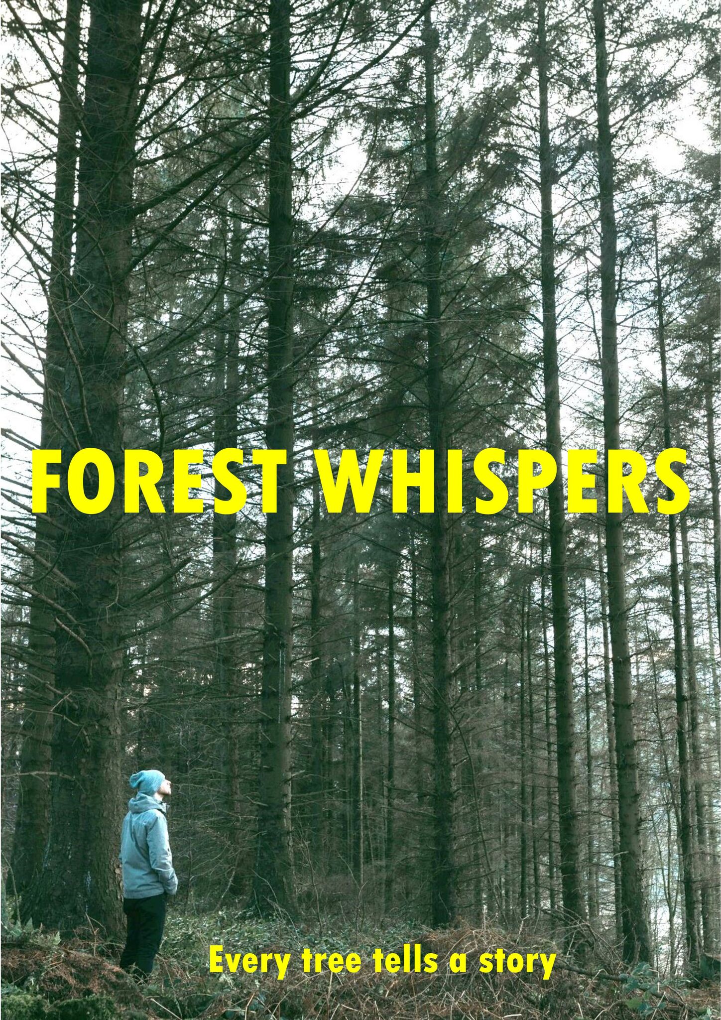 FOREST WHISPERS