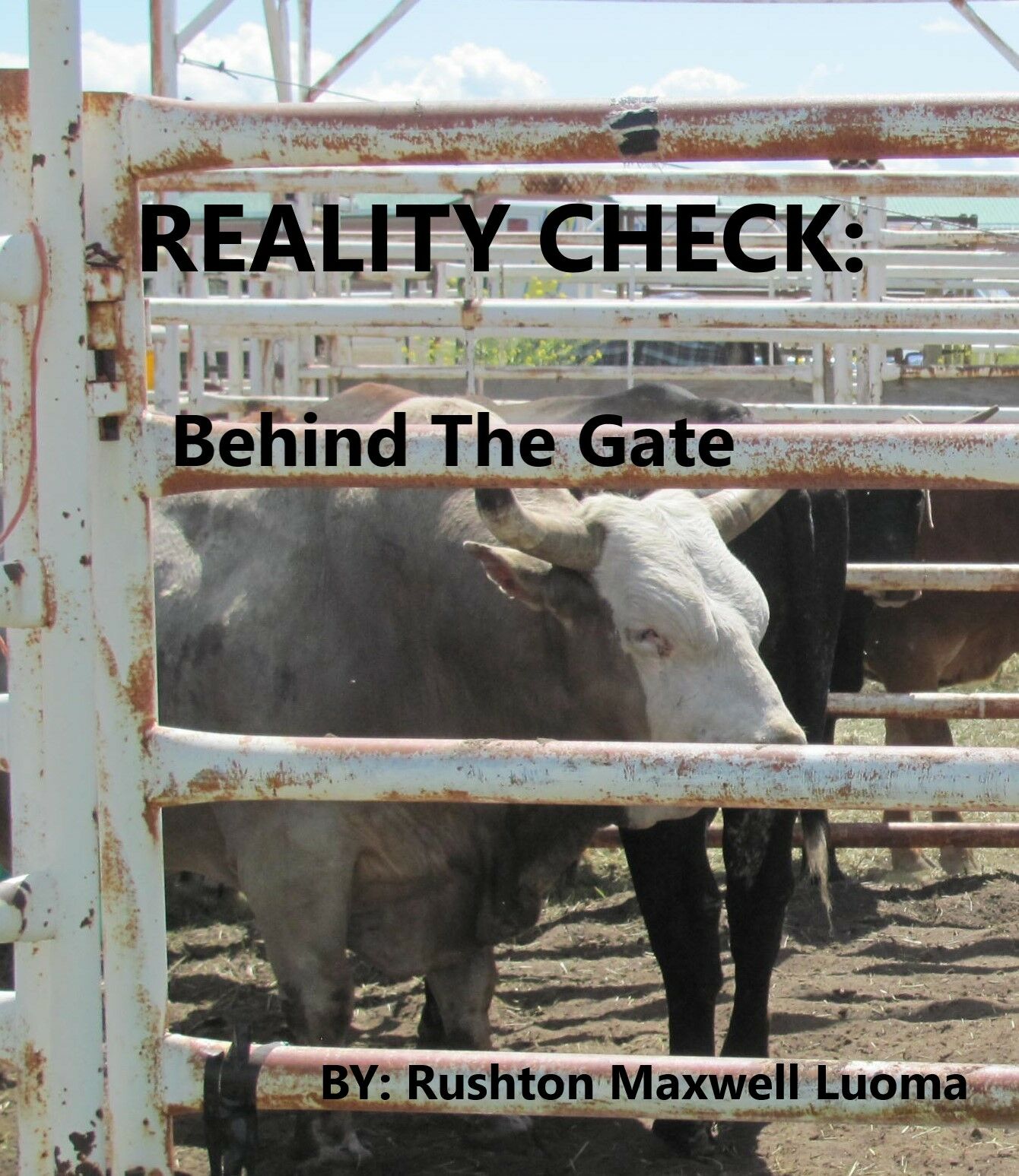 REALITY CHECK: BEHIND THE GATE