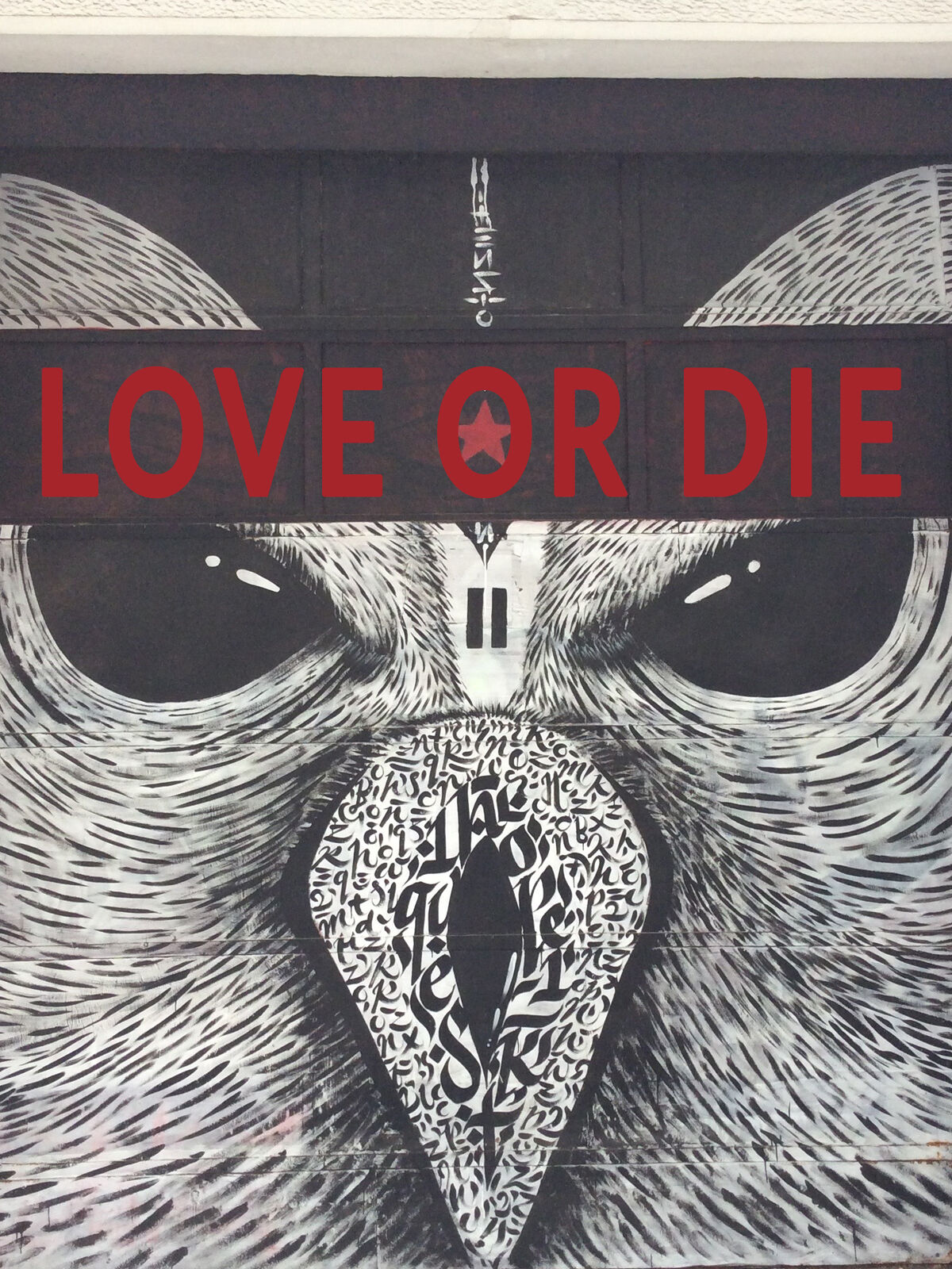 LOVE OR DIE