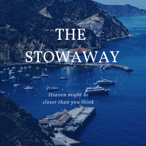 THE STOWAWAY