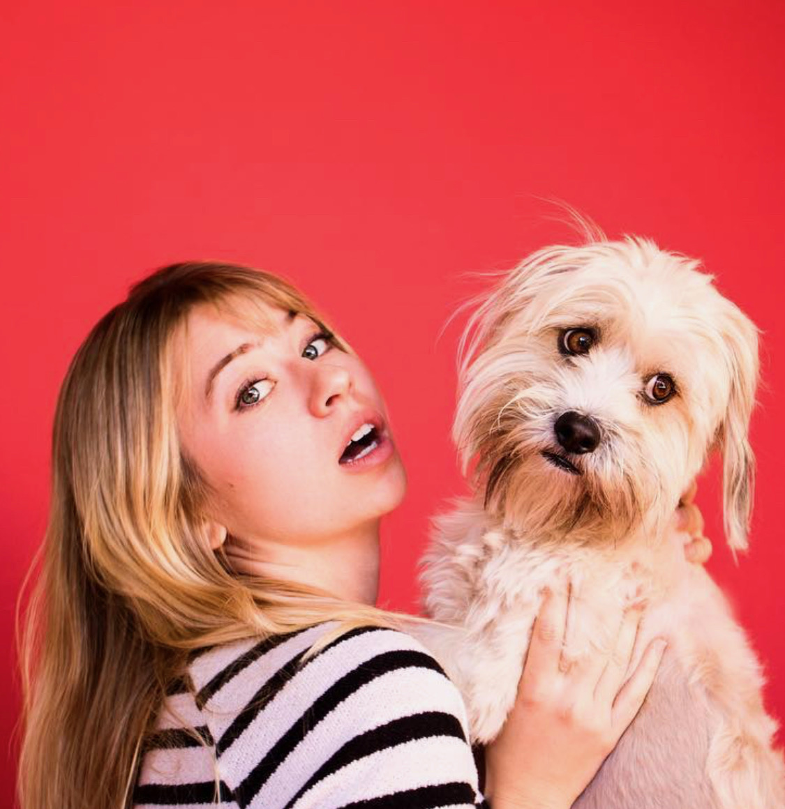 FEMALE DOG