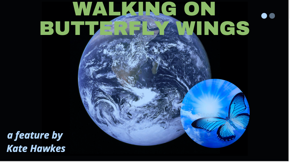 WALKING ON BUTTERFLY WINGS