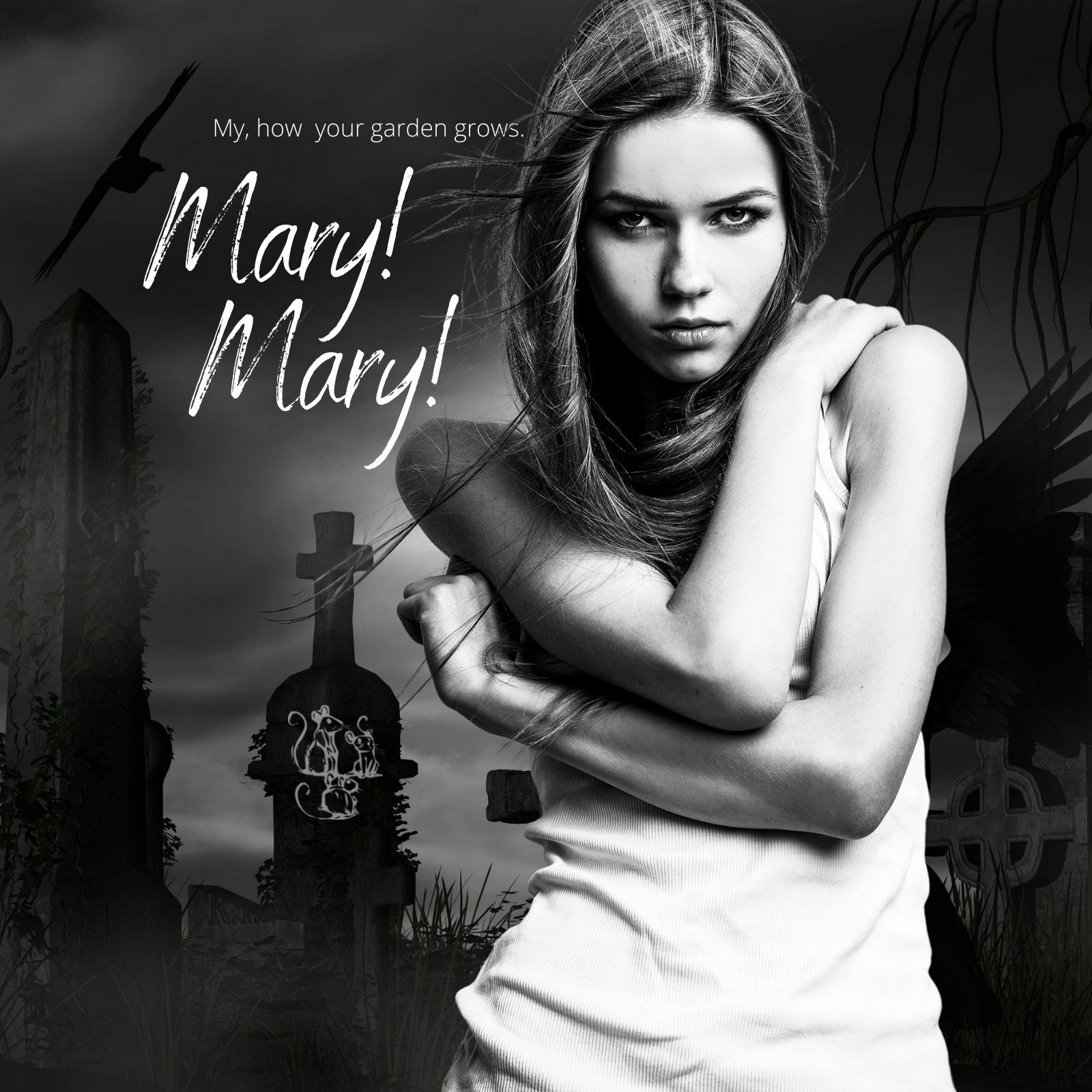 MARY! MARY!