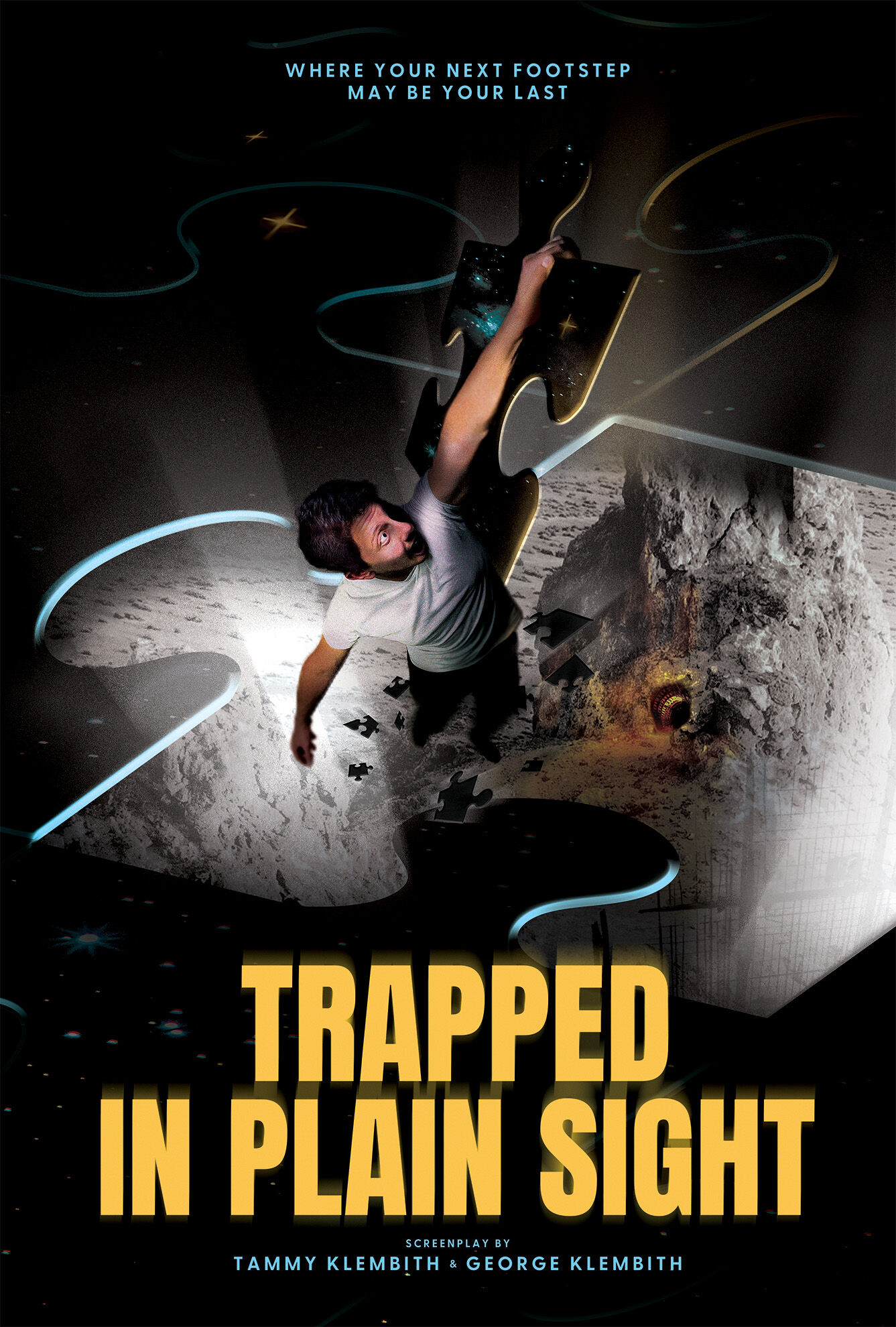 TRAPPED IN PLAIN SIGHT (AKA THE PUZZLE)