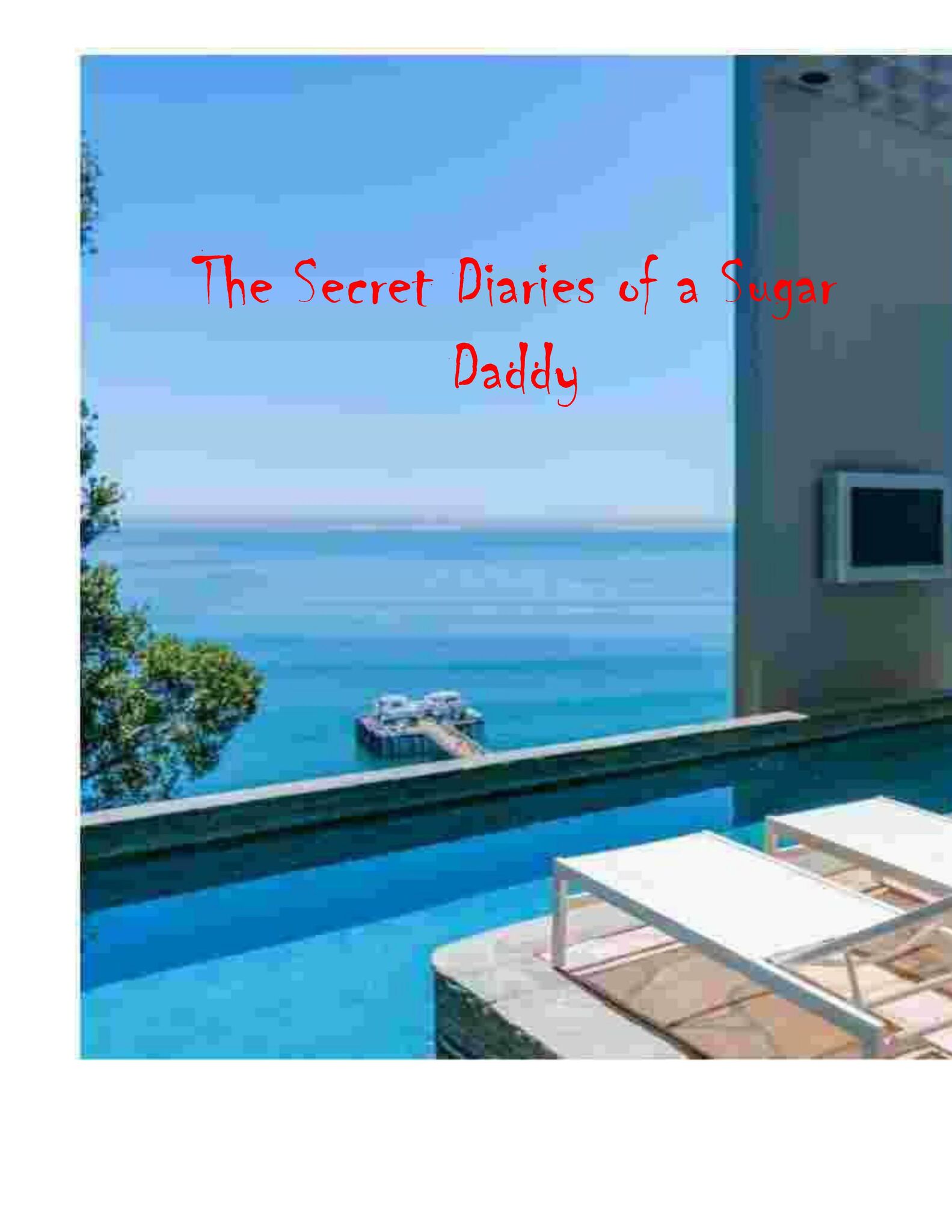 THE SECRET VIDEO DIARIES OF A SUGAR DADDY