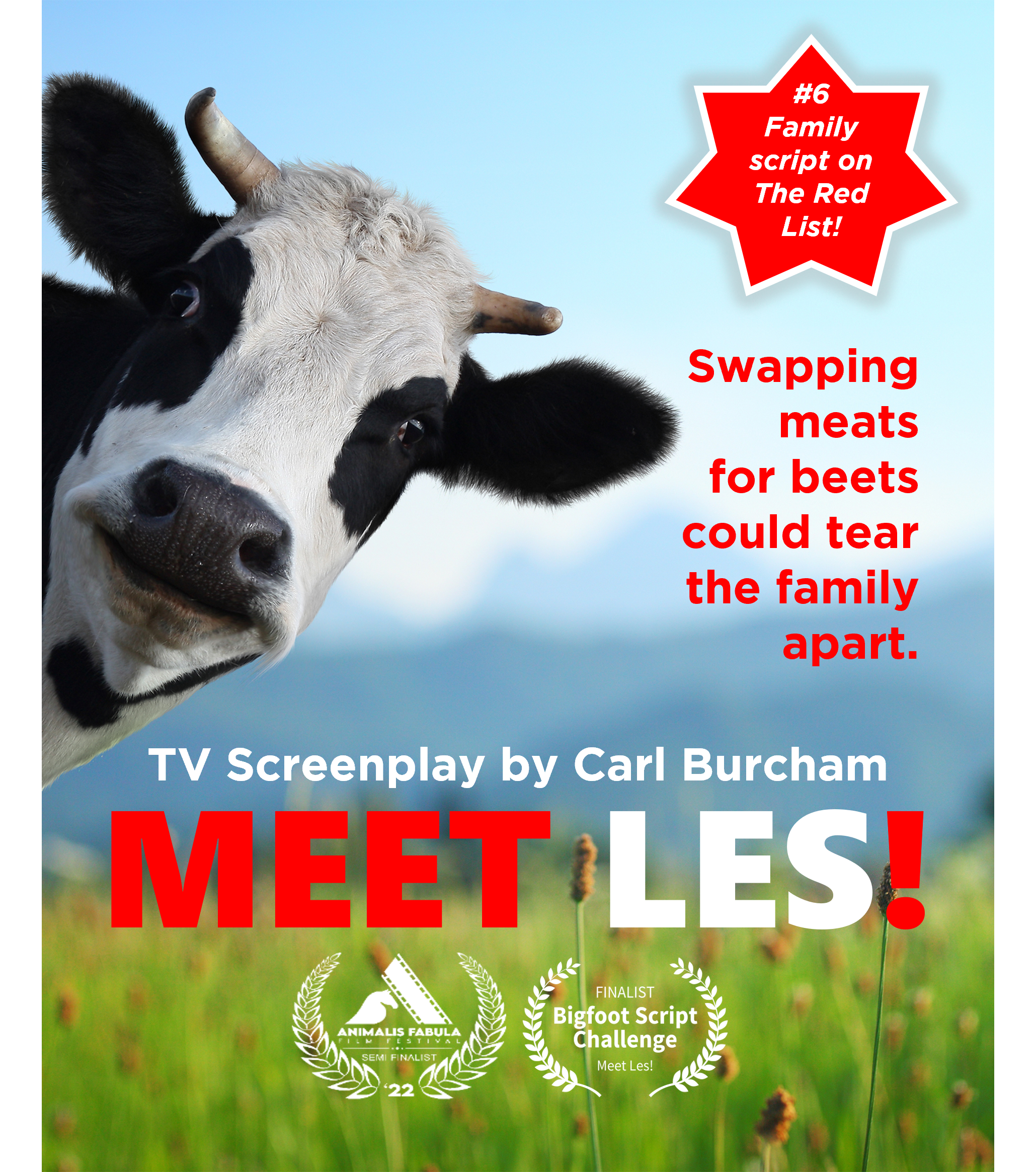 MEET LES! (TV PILOT)