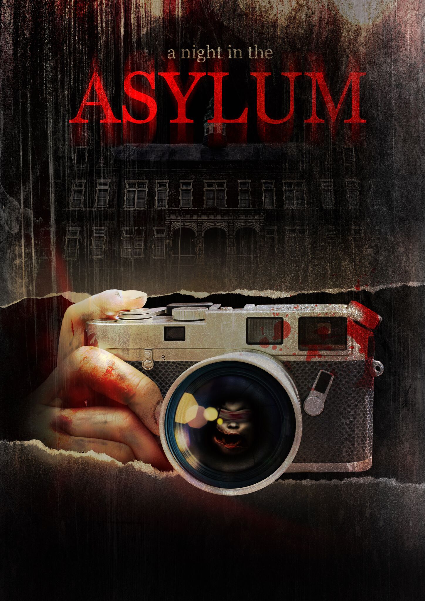 A NIGHT IN THE ASYLUM