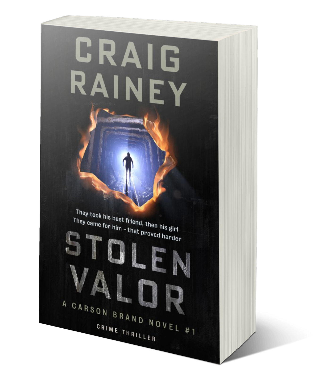 STOLEN VALOR