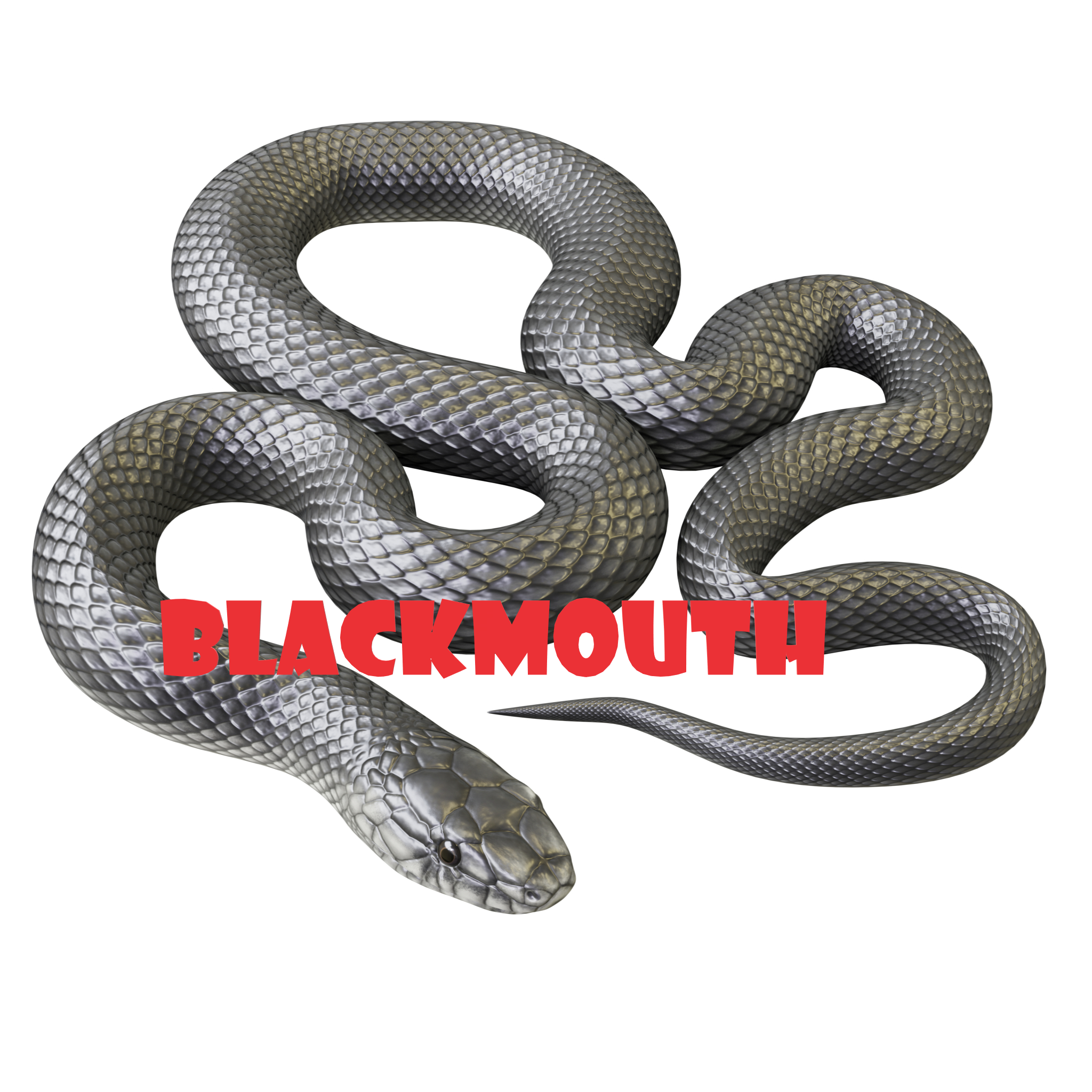 BLACKMOUTH