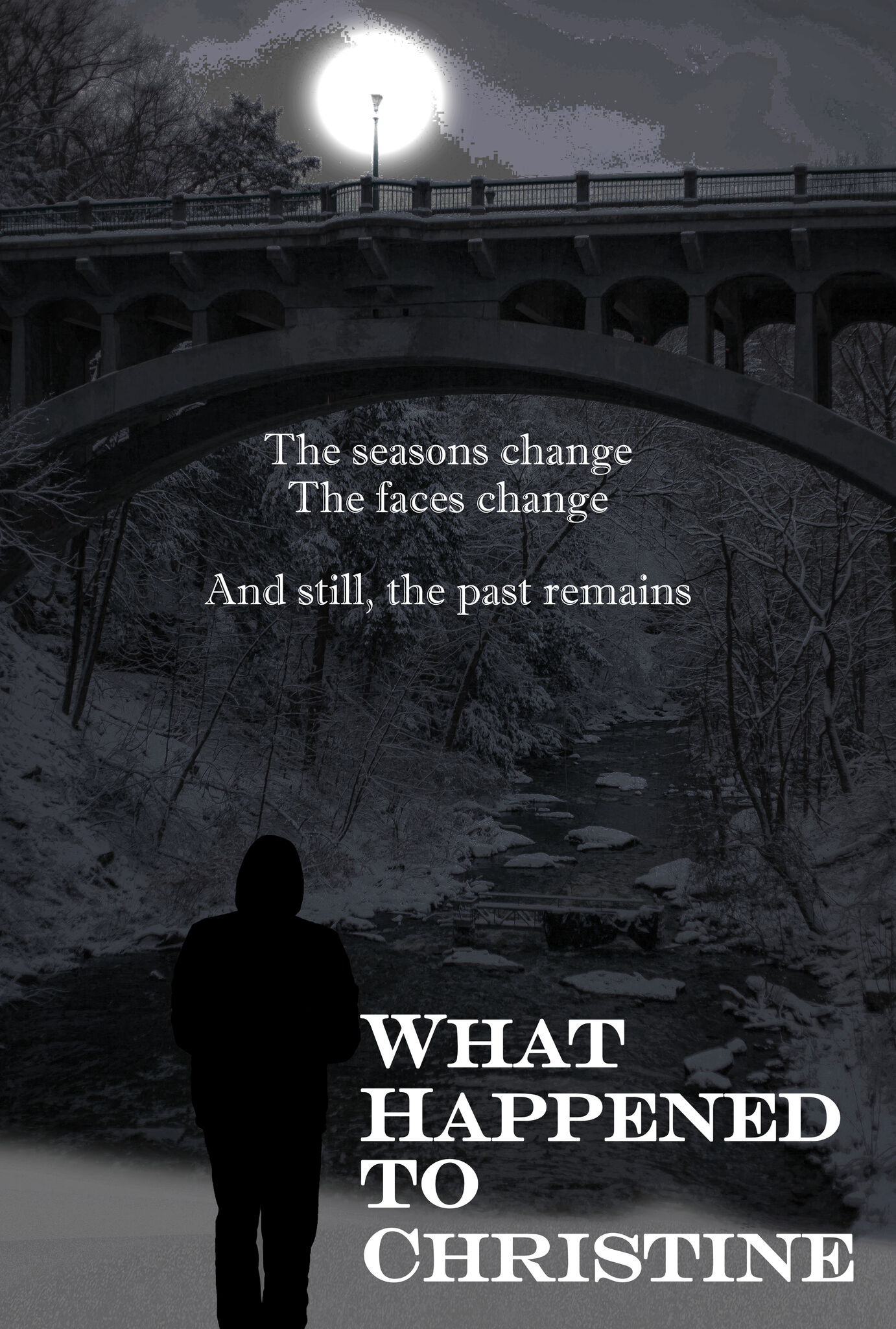 WHAT HAPPENED TO CHRISTINE