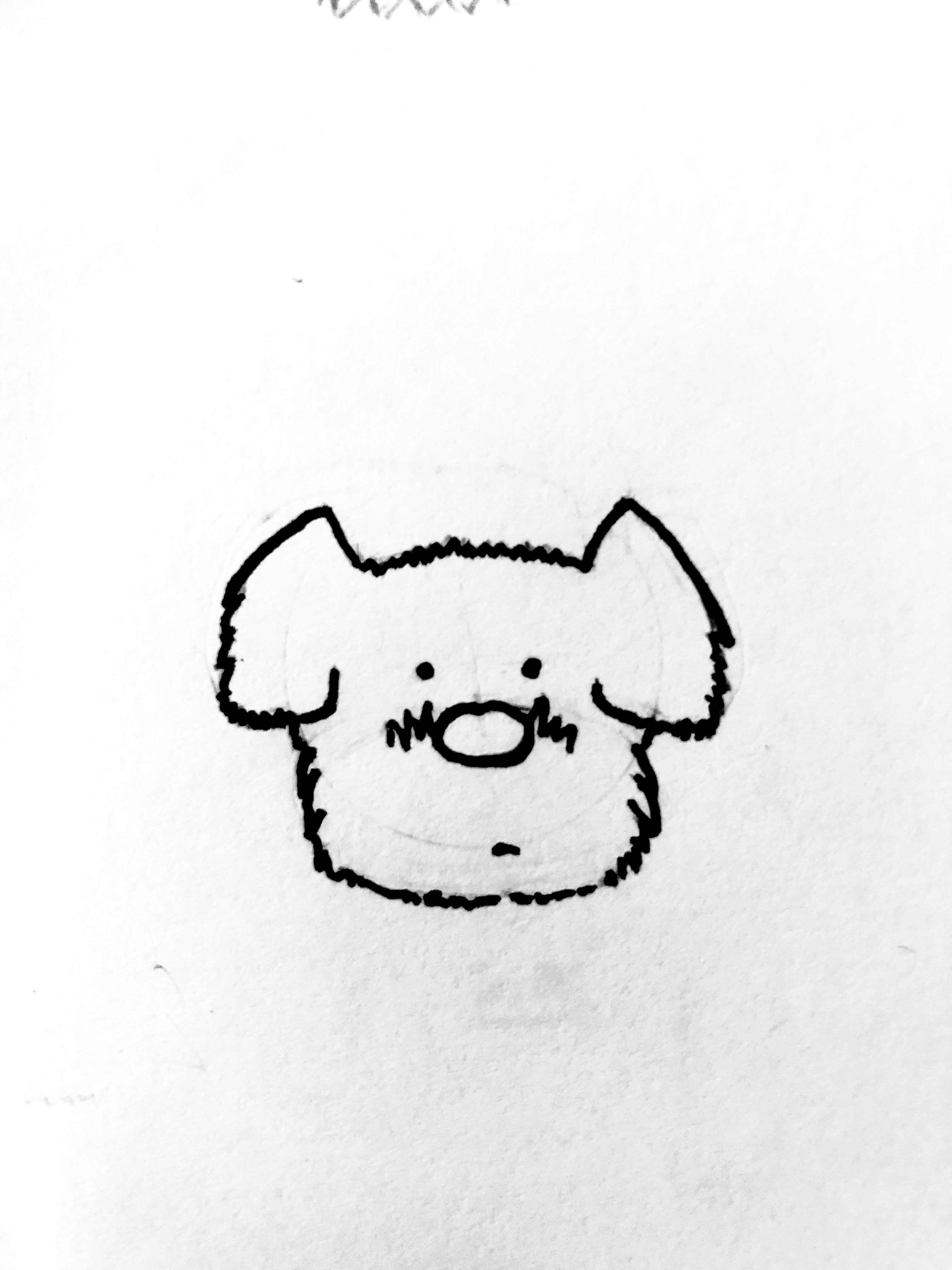 MY NAME IS BARKLEY