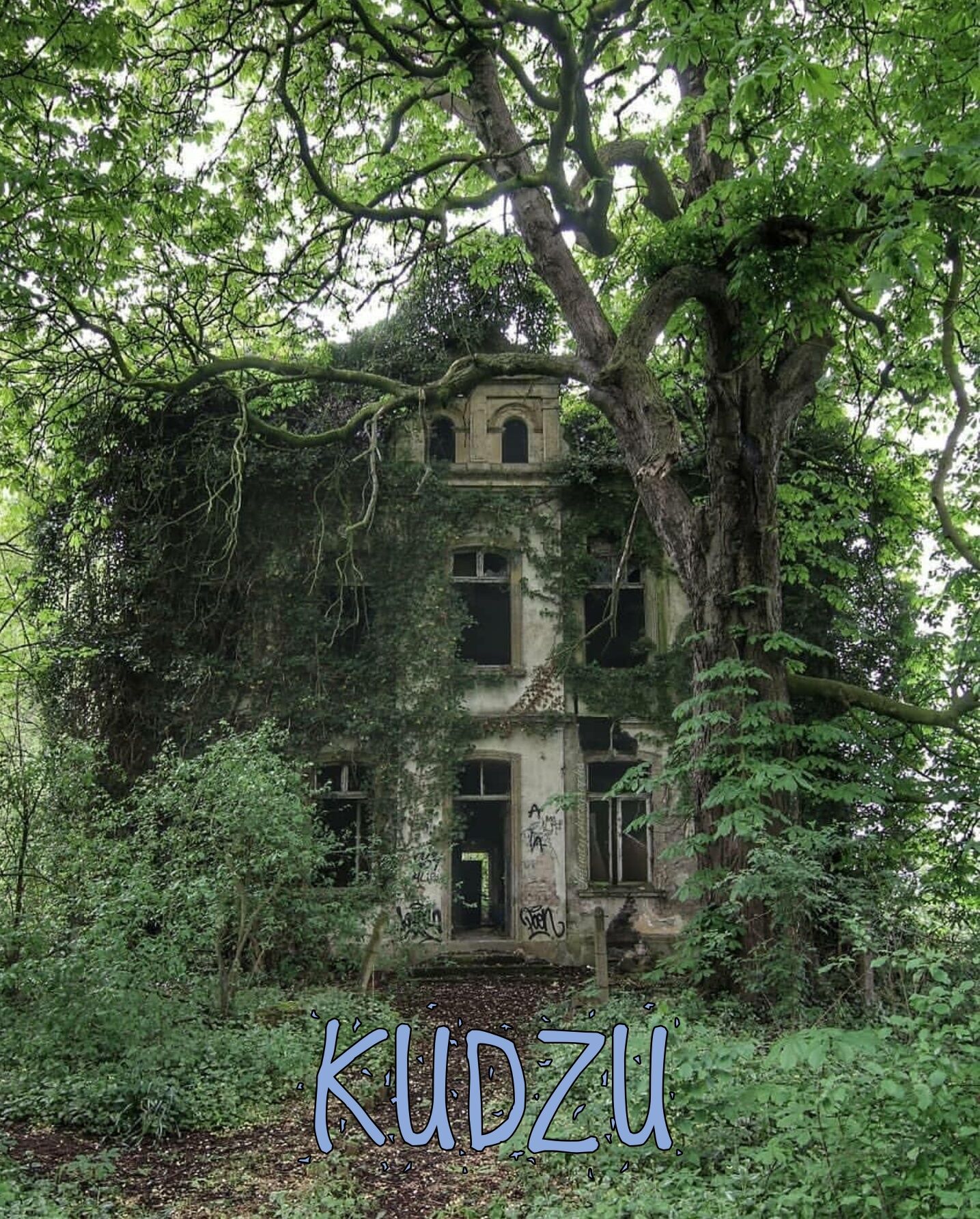 KUDZU