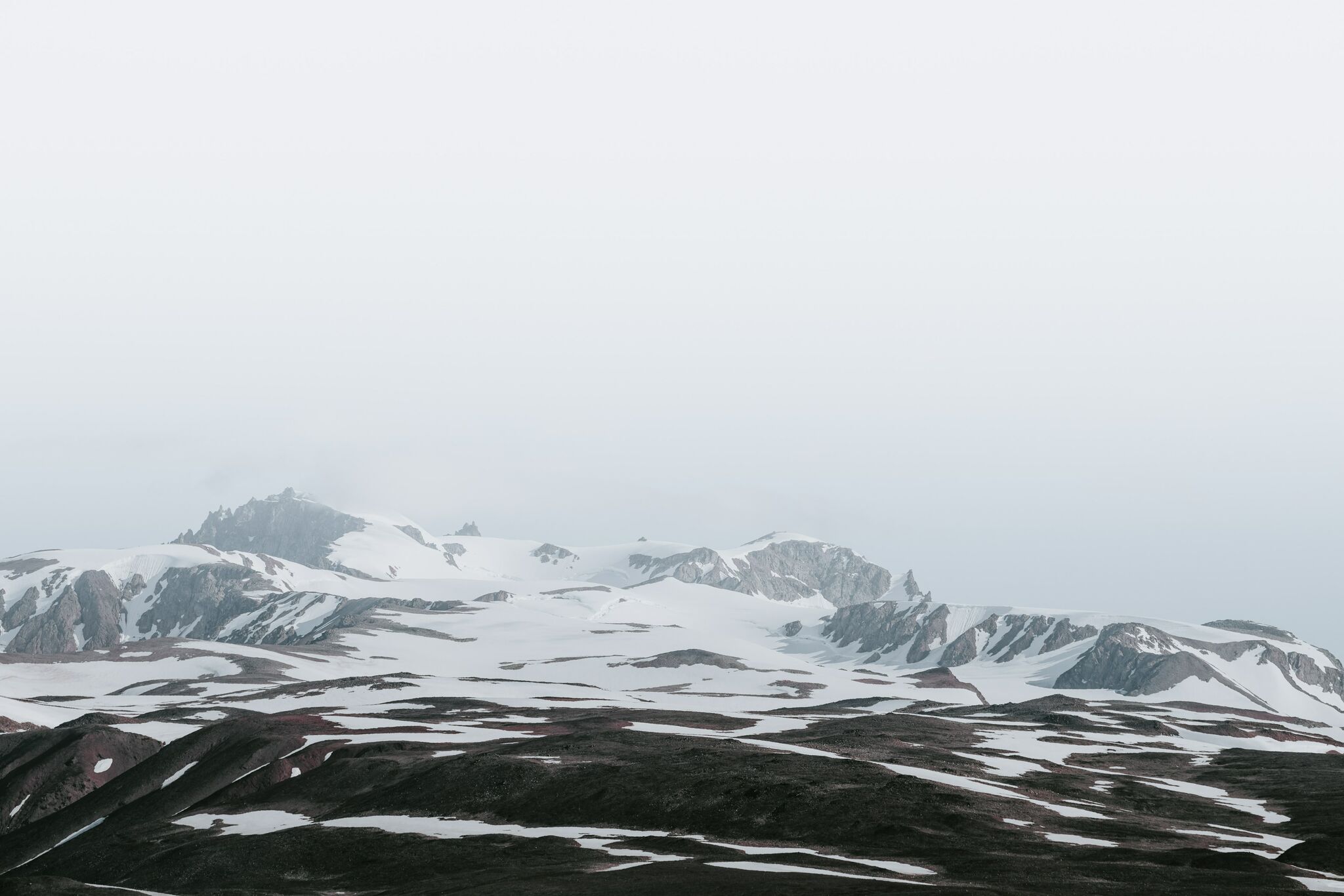 WHITE OUT