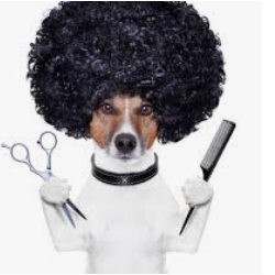 DOGGIE HAIR DOO 