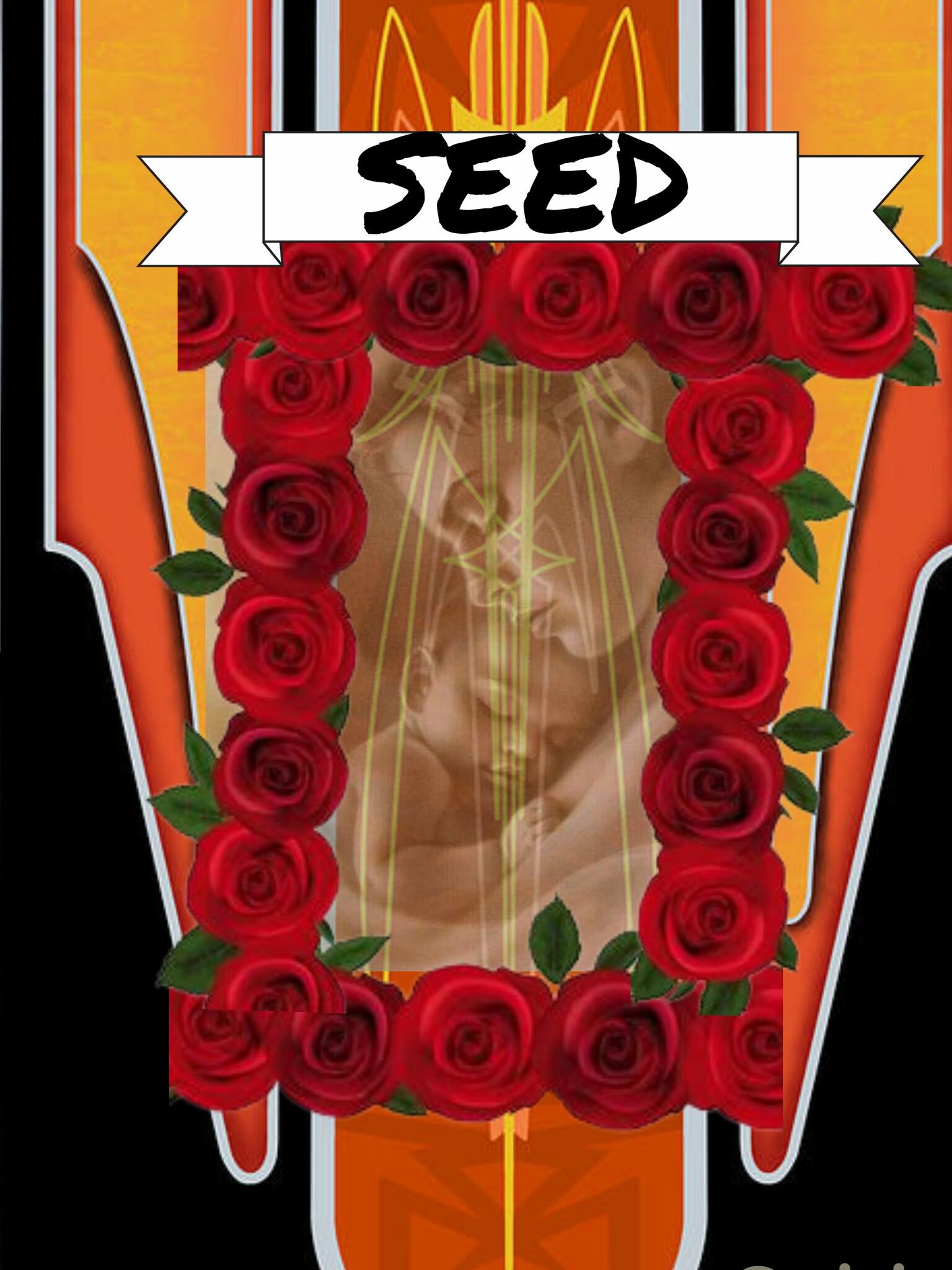 SEED ISS #15
