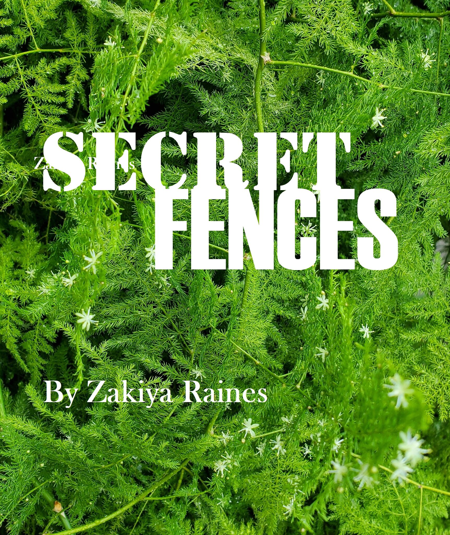 SECRET FENCES