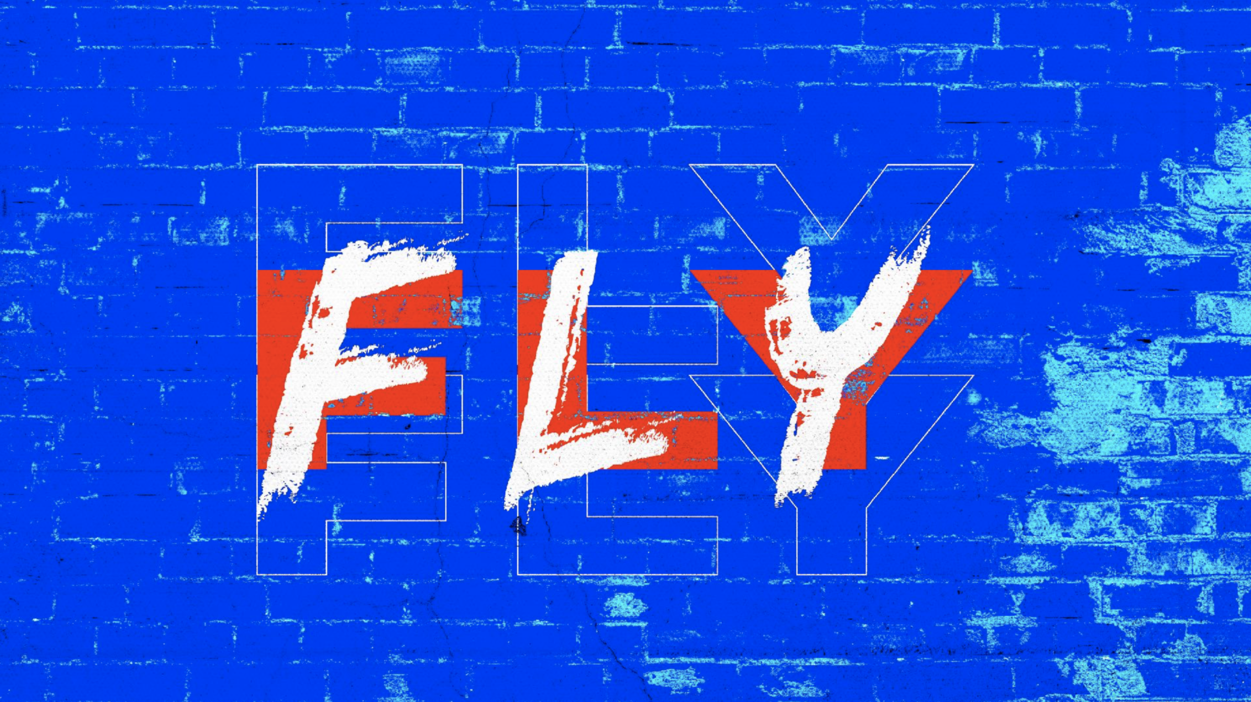 FLY