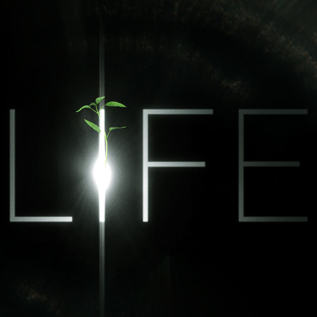 LIFE (EPISODE 01 - BIRTH)