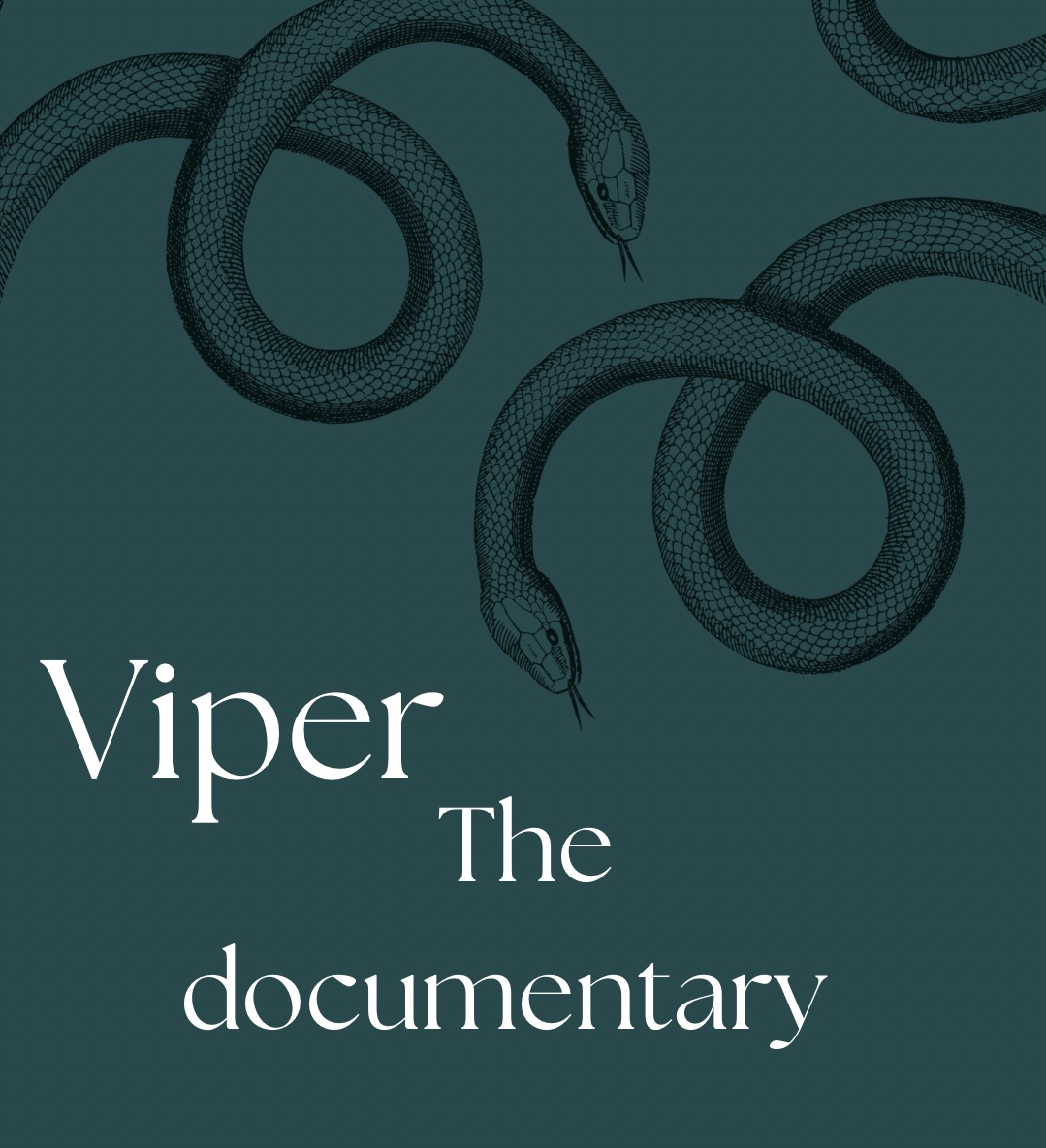 VIPER: THE DOCUMENTARY 