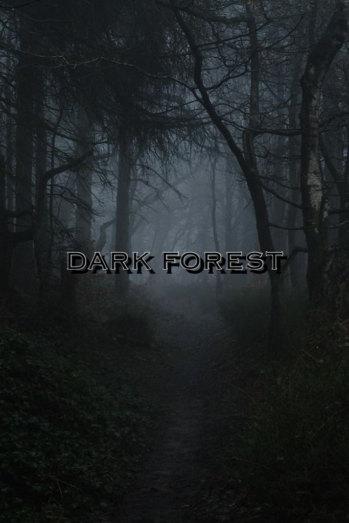 DARK FOREST