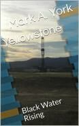 YELLOWSTONE: BLACK WATER RISING