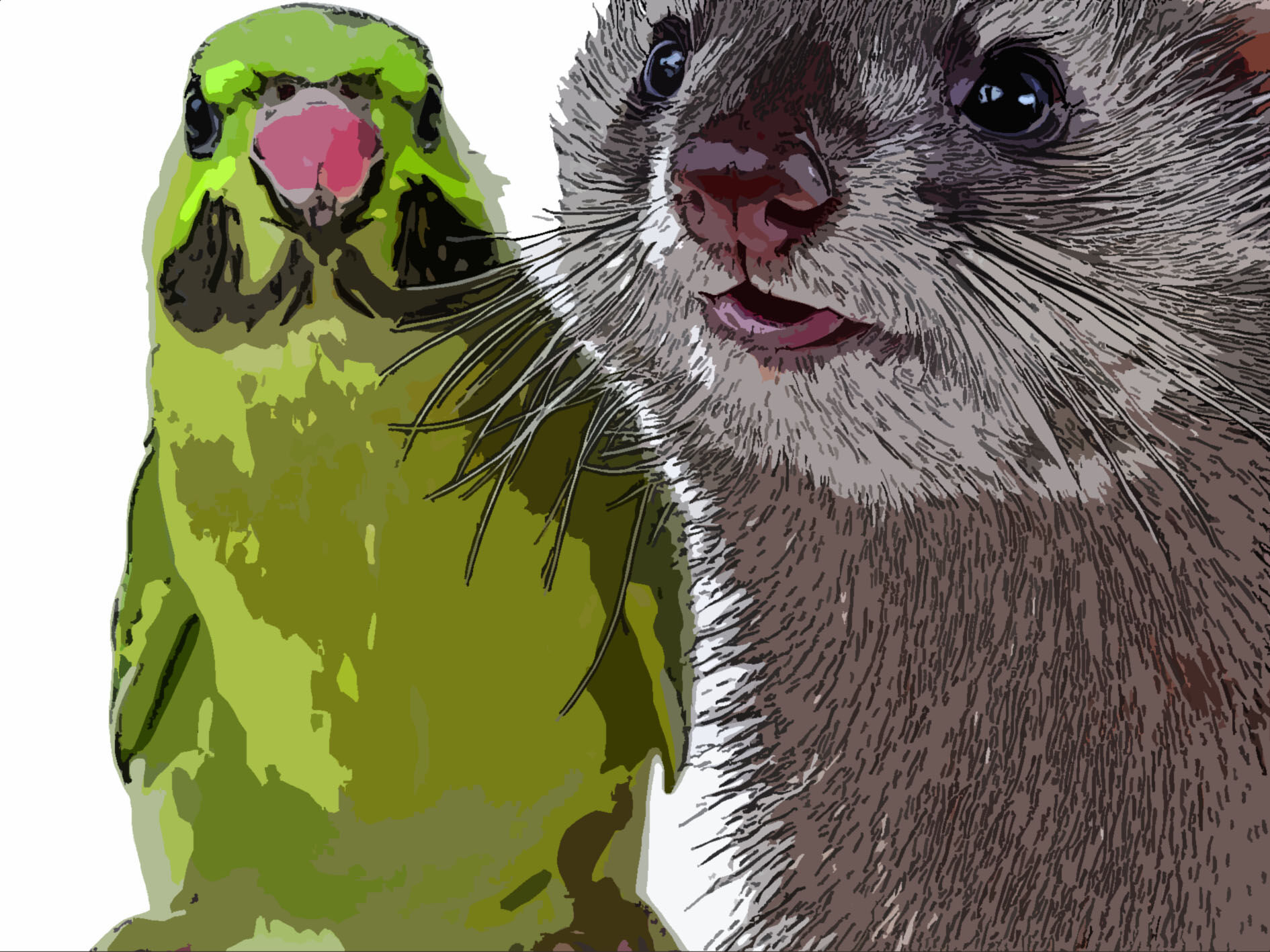 THE FERRET AND THE PARROT