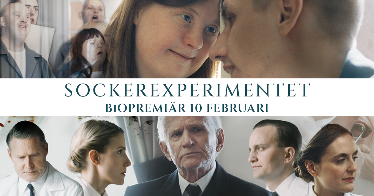 THE SUGAR EXPERIMENT