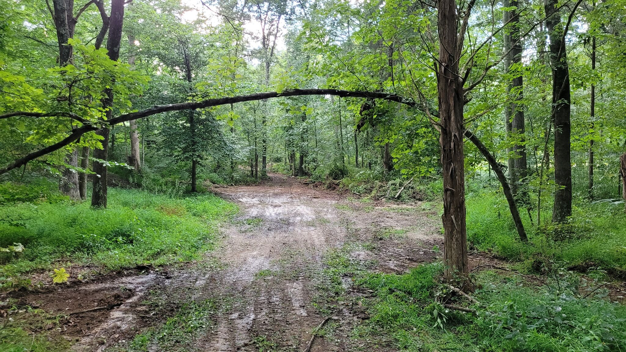 3 CREEKS
