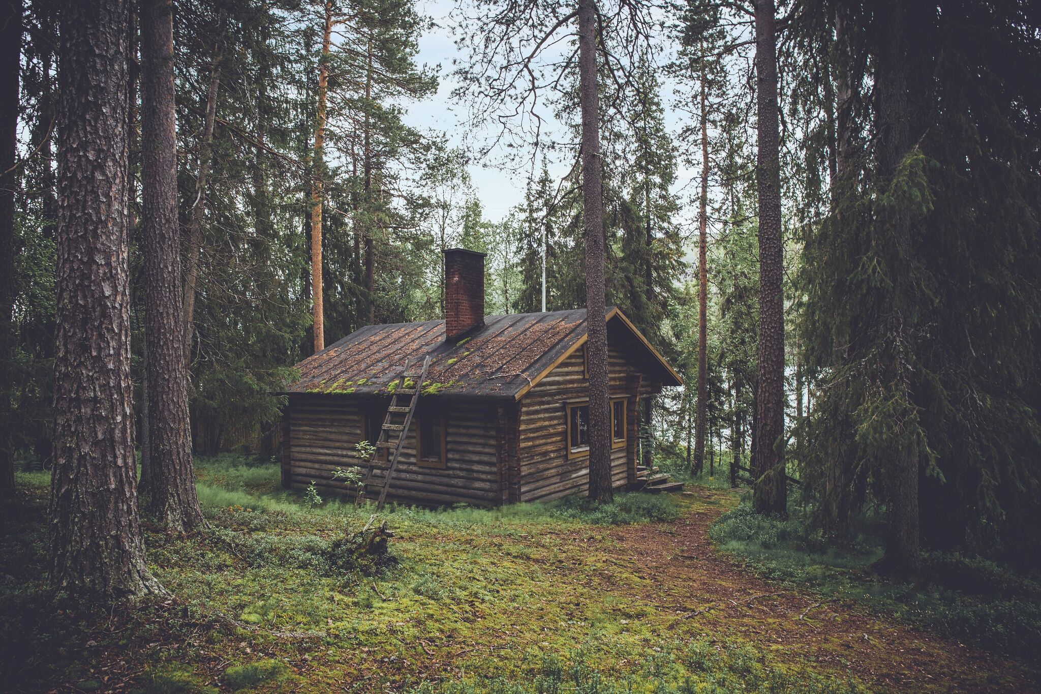 RETREAT AT THE CABIN