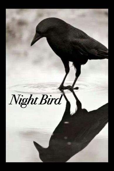 NIGHT BIRD 