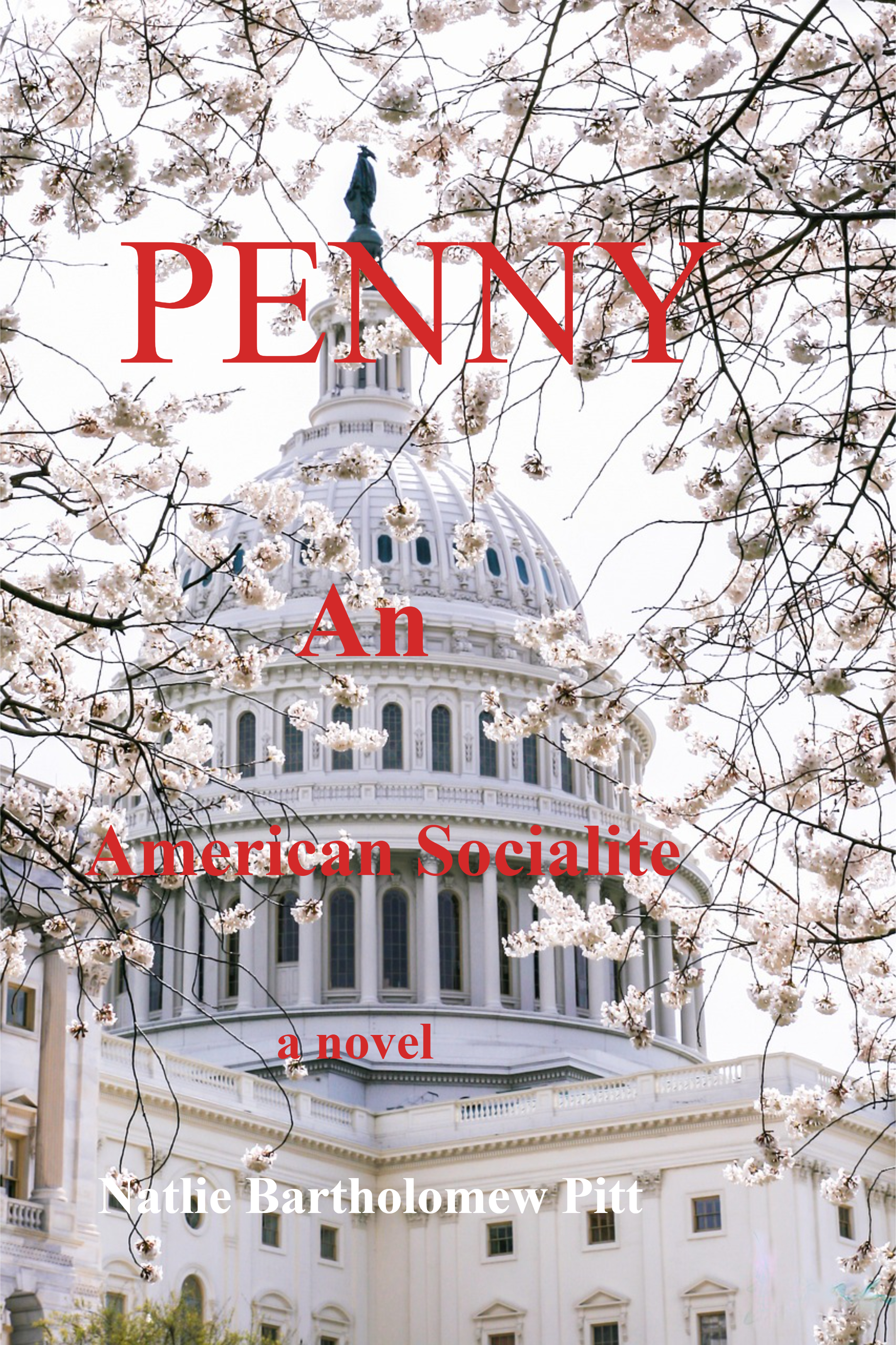 PENNY AN AMERICAN SOCIALITE : A PUBLISHED NOVEL