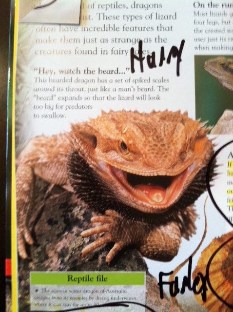 "REPTILE DYSFUNCTION"